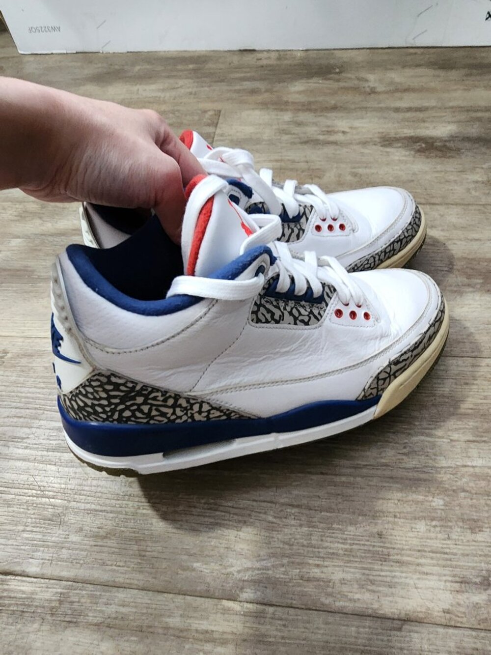 Nike Air Jordan 3 True Blue